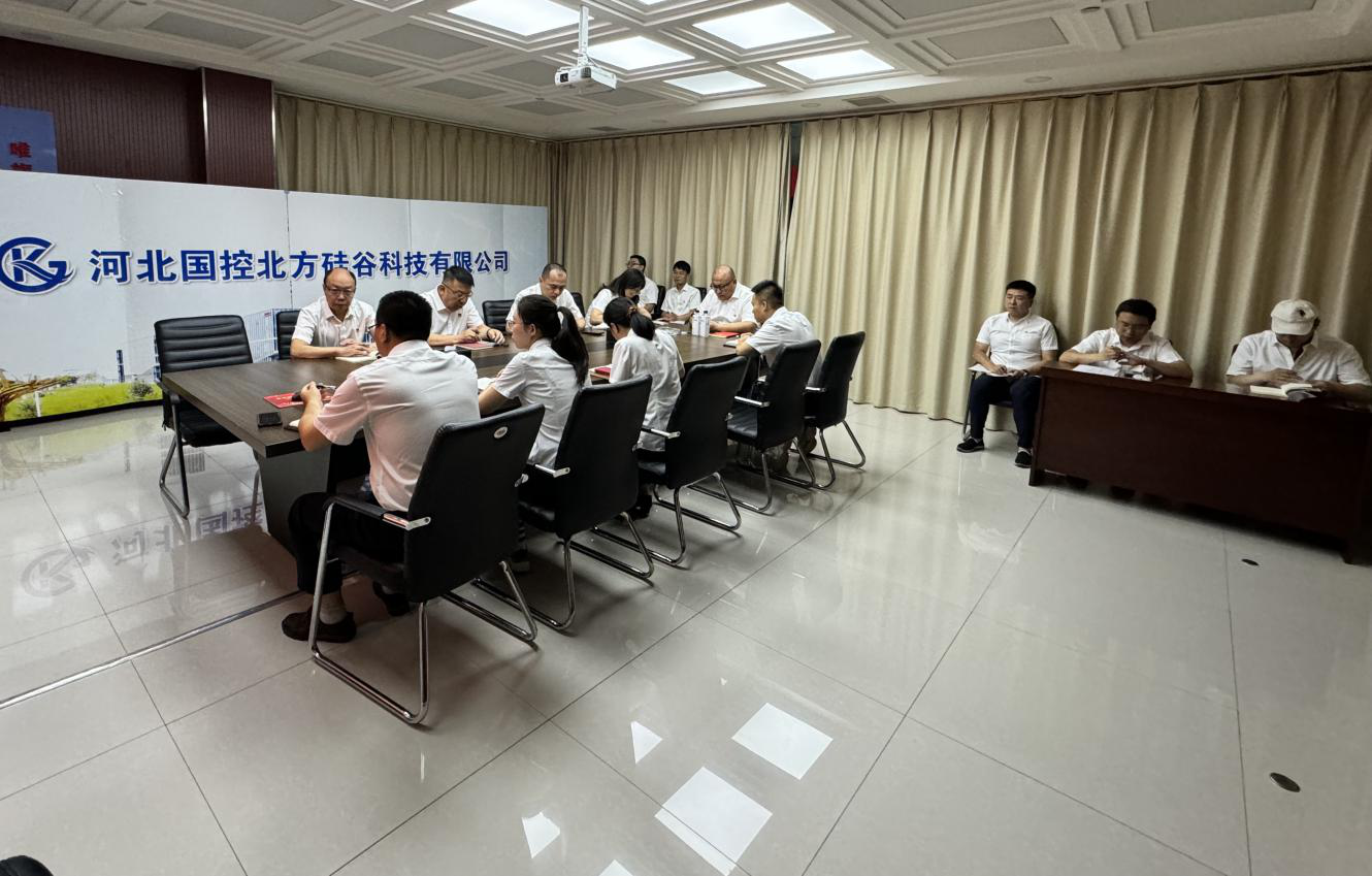 国控硅谷党支部开展党纪学习教育专题党课